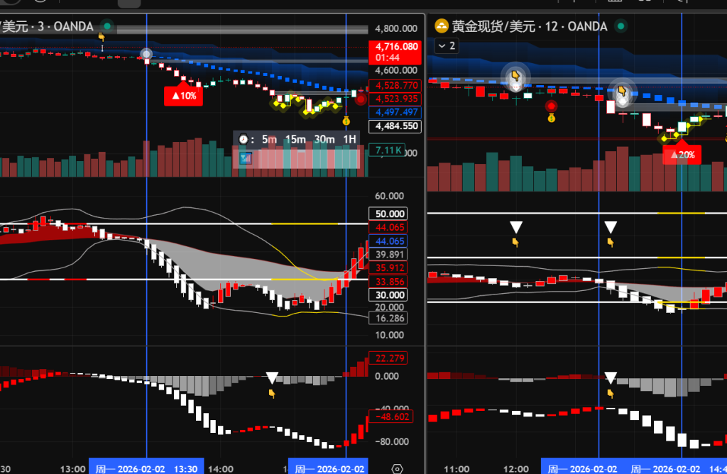 20260202180434665-image